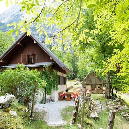 Alpine House Antonia Villa เทรนตา ภายนอก รูปภาพ