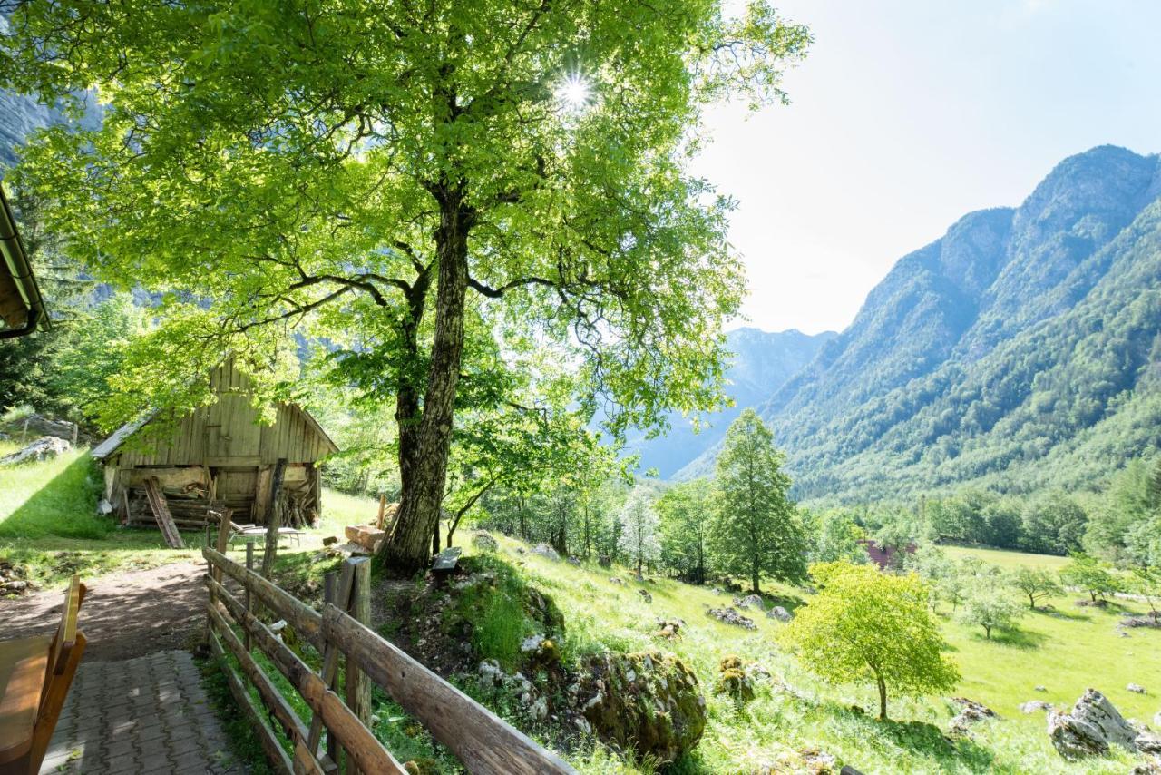 Alpine House Antonia Villa เทรนตา ภายนอก รูปภาพ