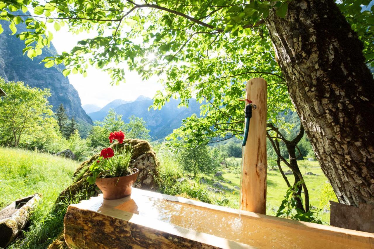 Alpine House Antonia Villa เทรนตา ภายนอก รูปภาพ