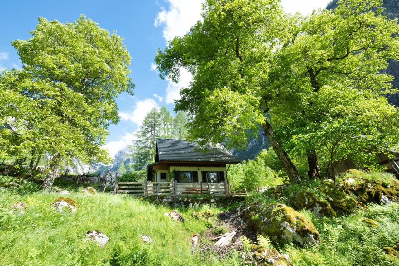 Alpine House Antonia Villa เทรนตา ภายนอก รูปภาพ