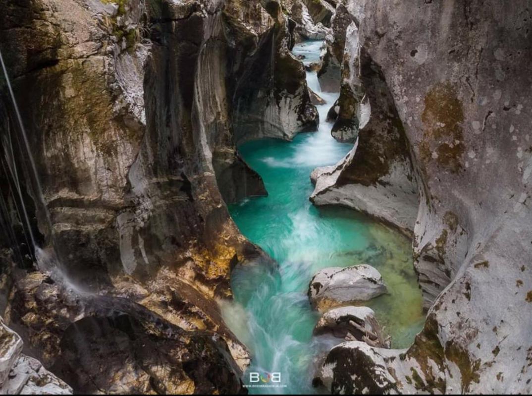 Alpine House Antonia Villa เทรนตา ภายนอก รูปภาพ