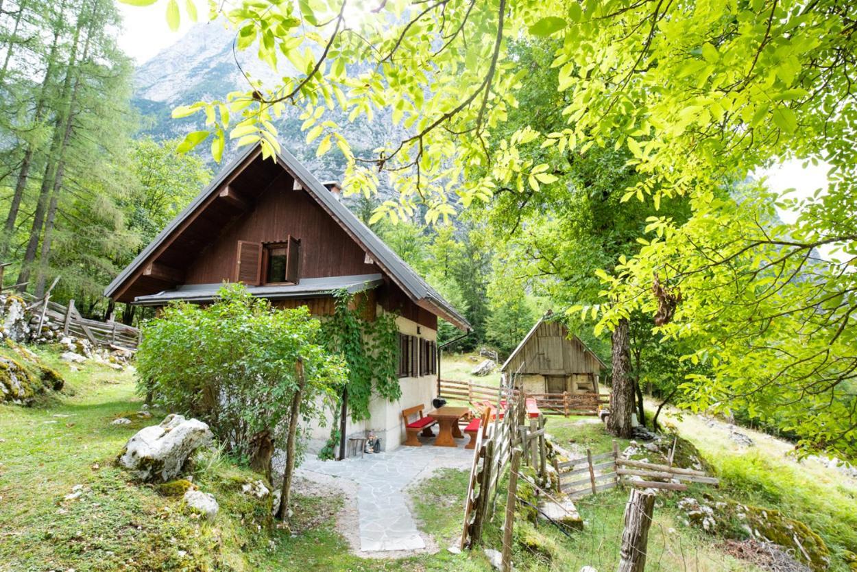 Alpine House Antonia Villa เทรนตา ภายนอก รูปภาพ